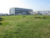 IMG_0248 (Large)